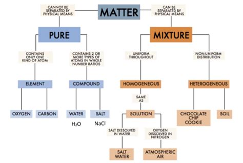 Flow Chart For Classification Of Matter Classification Flow Chart | Porn Sex Picture