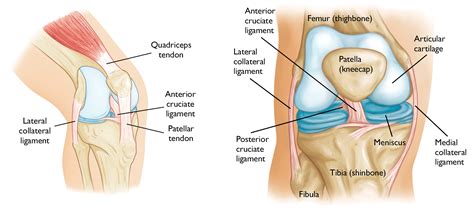 Understanding Knee Injuries - Ask The Nurse Expert