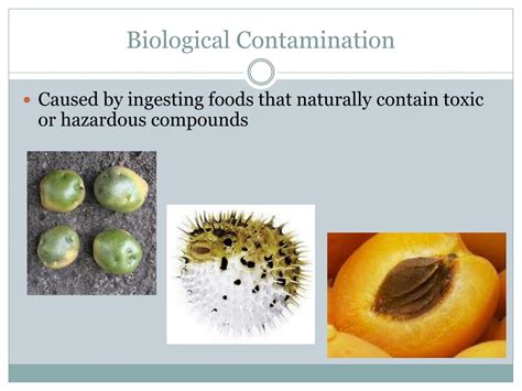 PPT - Consumers: Food and Nutrition Contamination PowerPoint Presentation - ID:1887788