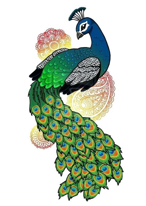 Peacock Drawing For Kids | Free download on ClipArtMag