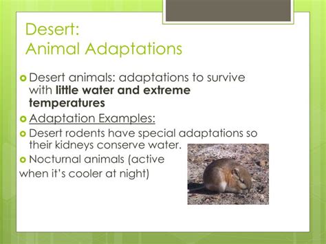 PPT - Biome Adaptations & Niches PowerPoint Presentation - ID:2655272