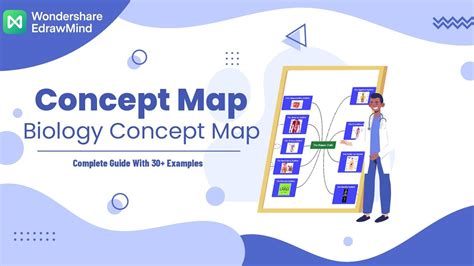 Concept Map Biology Concept Map Complete Guide With 30 Examples | Porn Sex Picture