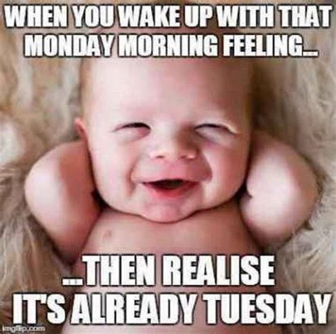 80 Hilarious Happy Funny Tuesday Memes of the Week – FunZumo