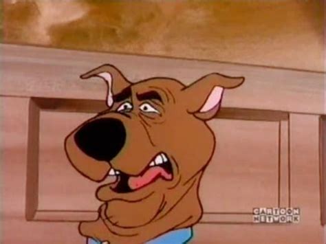 Scooby Doo Cursed Faces