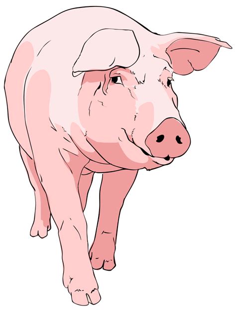 Free Pig Clipart Pictures - Clipartix