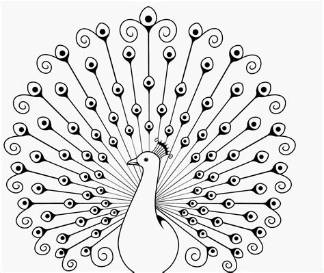 Realistic Peacock Coloring Pages at GetColorings.com | Free printable colorings pages to print ...