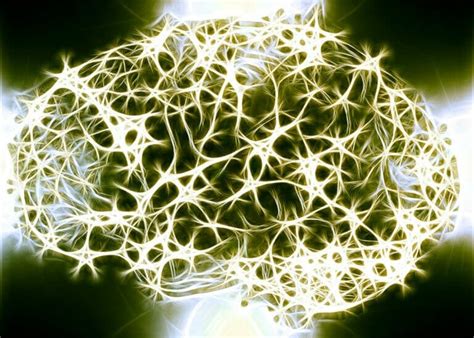 Know Your Brain: How Neuroplasticity Works | Brain World