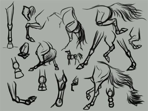 Horse leg practise by Whiteligtning on DeviantArt