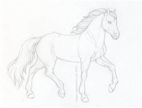 Horse Sketch Images at PaintingValley.com | Explore collection of Horse Sketch Images