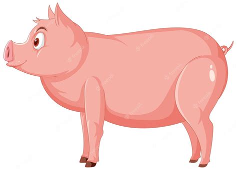 Free Vector | Side view of pig cartoon character