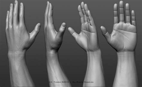 Hands: Anatomy sculpting exercise. by EtherealProject on DeviantArt