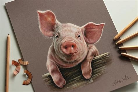 Easy Pig Drawing Ideas - Beautiful Dawn Designs