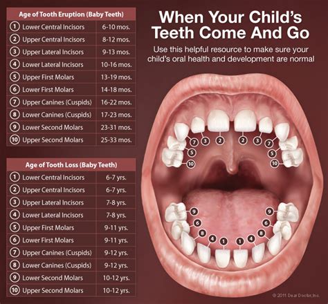 Pediatric Dentistry | Children's Dental Care, Inc. | St. Thomas VI