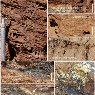 Veining and boxwork textures from the saprolite units observed in the... | Download Scientific ...