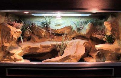 tank decor Bearded Dragon terrarium basking rock Lizard rock Pet Carriers & Houses Pet Supplies ...