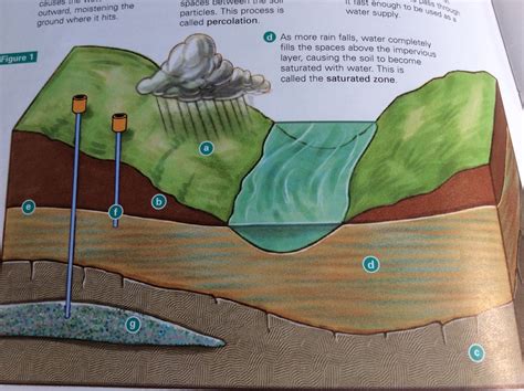 Diagram of The Water Table (diagram) | Quizlet