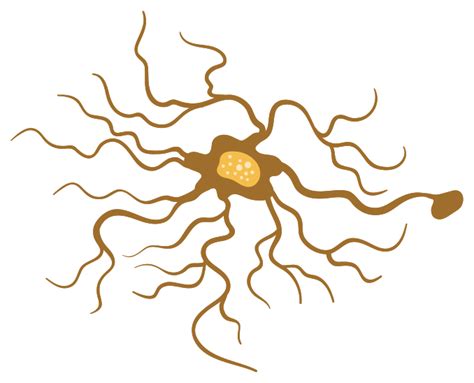 Neuron 1201280 PNG