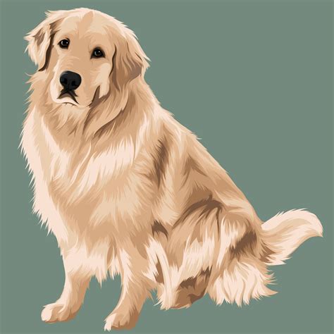 Golden retriever art digital art vector pets pet illustrations from your photographs – Artofit