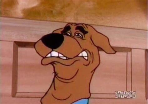 Scooby Doo Meme Face