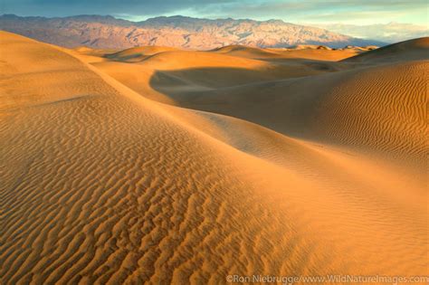 Mojave Desert Photos | Photos by Ron Niebrugge