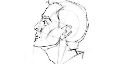 Male face side view Drawing Reference and Sketches for Artists