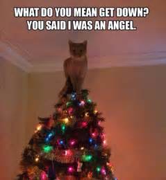 Make Me Laugh Wednesday: Cats Versus Christmas Trees - Chris Cannon