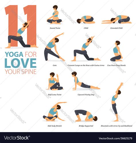 11 yoga poses for love your spine concept Vector Image