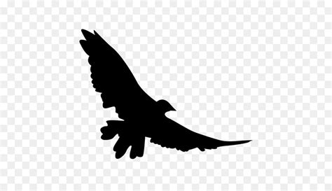 Free Hawk Flying Silhouette, Download Free Hawk Flying Silhouette png images, Free ClipArts on ...