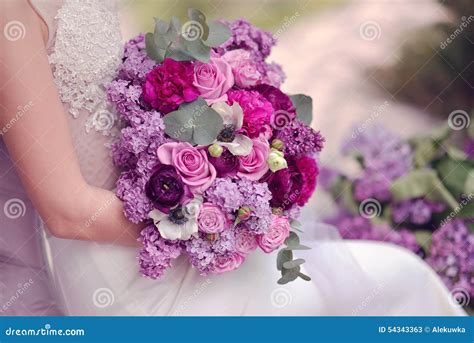 Lilac and rose stock image. Image of mother, beauty, color - 54343363