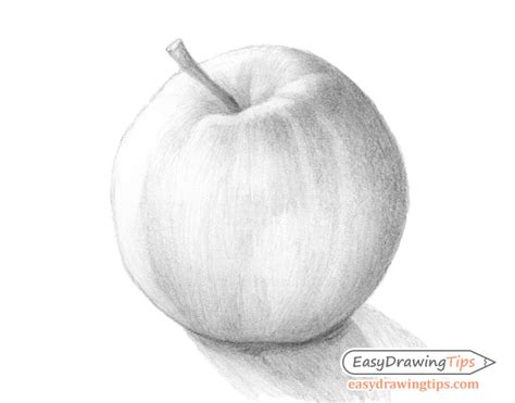 Apple Pencil Drawing Outline