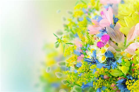 Bright Flowers Wallpapers - Top Free Bright Flowers Backgrounds - WallpaperAccess