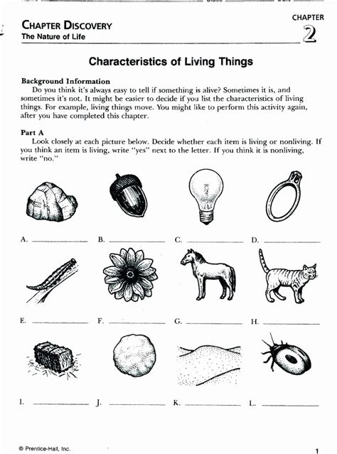 50 Characteristics Of Life Worksheet Answers