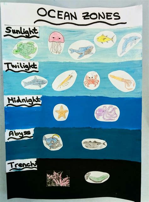 Ocean Zones with animals that live on each zone Ocean Activities Preschool, Science Activities ...