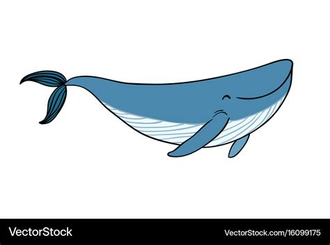 A small cartoon whale Royalty Free Vector Image