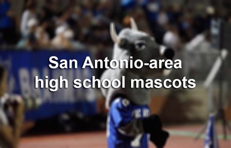 San Antonio-area high school mascots - Houston Chronicle