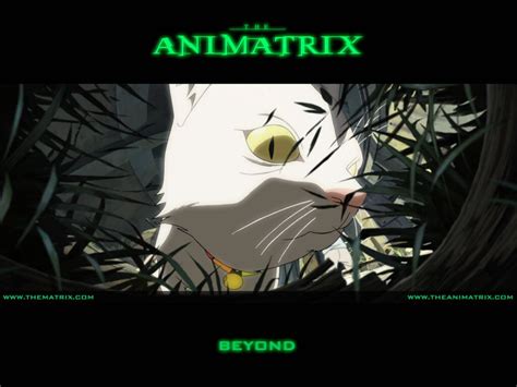 The Animatrix - Movies Wallpaper (69274) - Fanpop