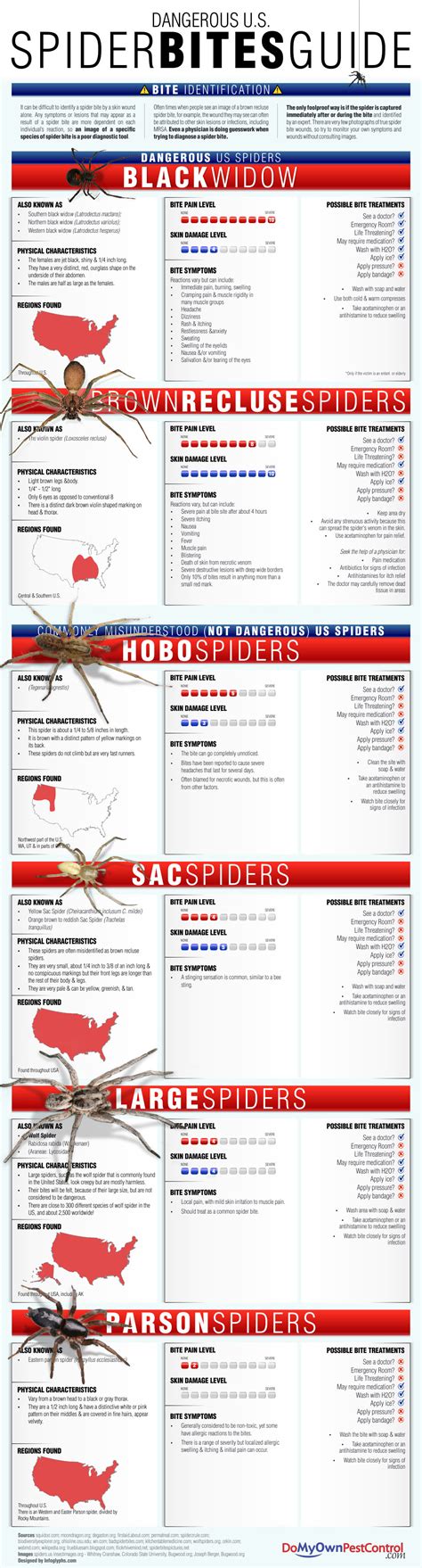 House Spider Bite Identification Chart