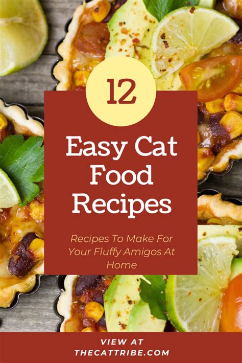 Top 12 Easy Cat Food Recipes , Check #3 Recipe | The Cat Tribe