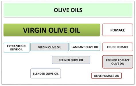 Different olive oil types | Download Scientific Diagram