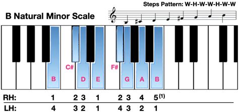 B Nat Min Scale Diagram | Liberty Park Music