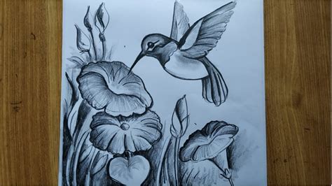 how to draw easy bird and flowers step by step with pencil sketch for beginners,easy bird ...