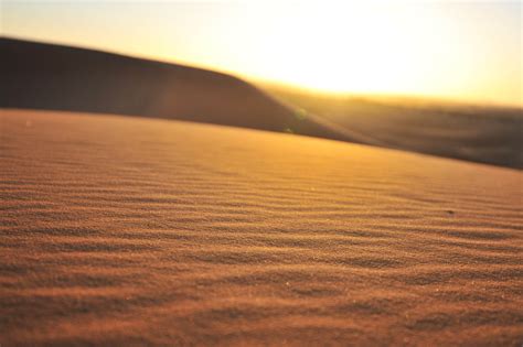 Into the Desert: Sahara Dunes and Surrounding Scenes | Simplicity Relished