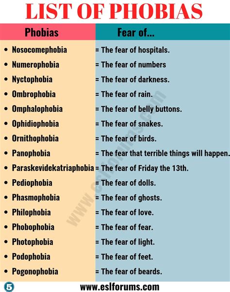 List of Phobias: Learn 105 Common Phobias of People around the World - ESL Forums