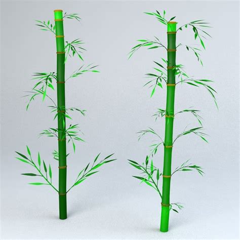 Bamboo 3D Models for Download | TurboSquid