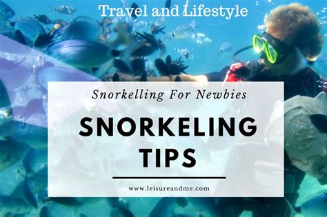 Important Snorkeling Tips For Newbies - Leisure and Me