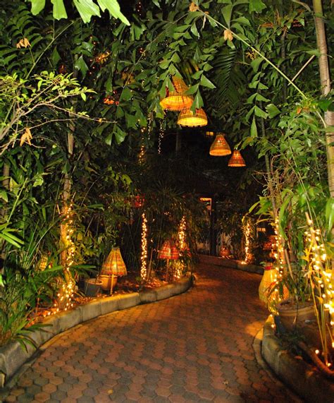 Enchanted garden pathway with lights | Scenery, Garden design, Dream garden