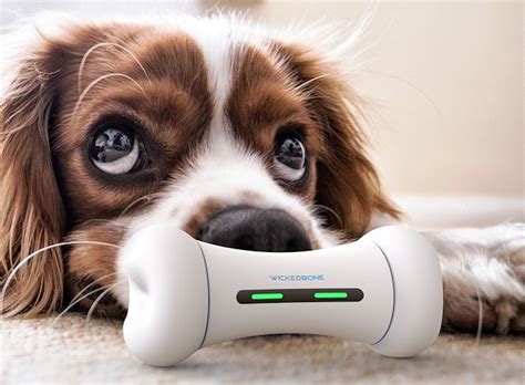 Wickedbone Smart Interactive Dog Toy » Gadget Flow