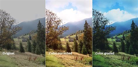 Color Correction vs. Color Grading | What's the Difference