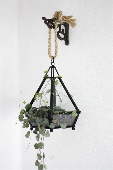 DIY Hanging terrarium - Cityscape Bliss