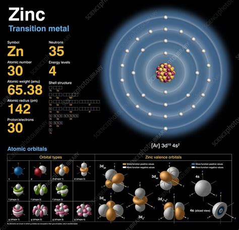 Zinc Periodic Table Neutrons | Awesome Home